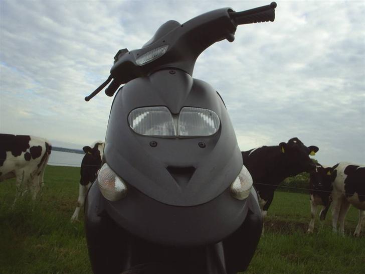 Gilera Stalker (Stjålet) billede 1