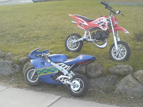 MiniBike pocket bike (solgt) - MIN VEN`S POCKET CROSSER billede 1