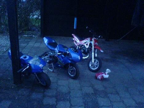 MiniBike pocket bike (solgt) billede 11