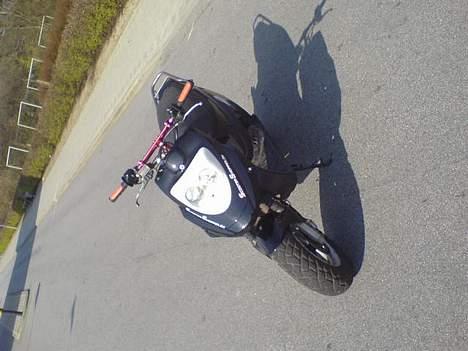 PGO HOT 50 billede 14