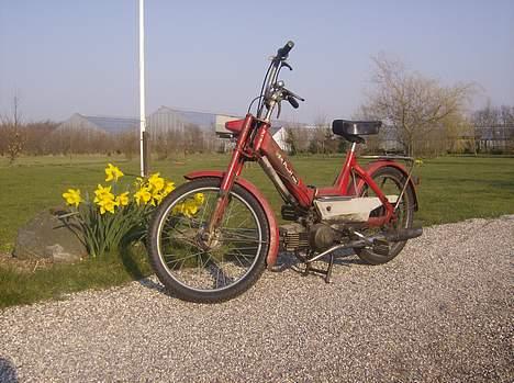 Puch maxi p e50  *projekt* billede 12