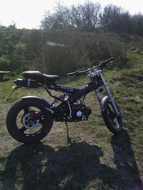 Sachs -|- MadAss -|- billede 11