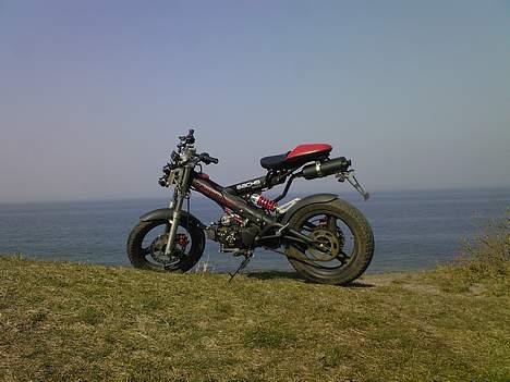 Sachs -|- MadAss -|- - tisvilde strand ;) billede 12