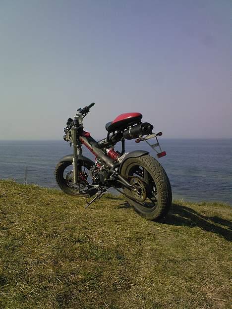 Sachs -|- MadAss -|- billede 13