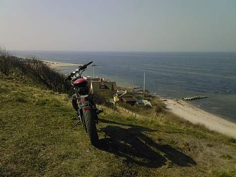 Sachs -|- MadAss -|- billede 14