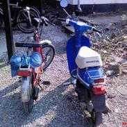 Honda Melody Mini NT 50 (S)