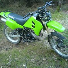 Suzuki Rmx