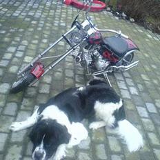MiniBike Chopper (SOLGT)