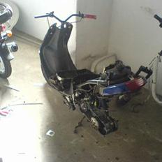 PGO Projekt Comet *SOLGT*