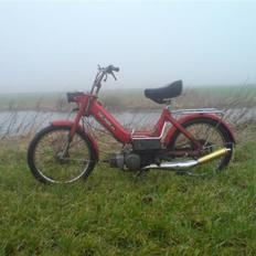 Puch Maxi P 