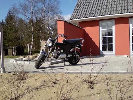 Honda Dax (kopi) billede 1