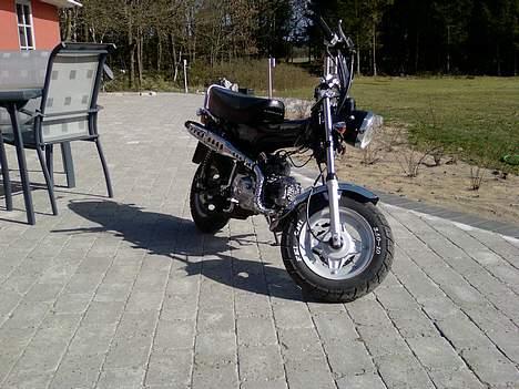 Honda Dax (kopi) billede 2