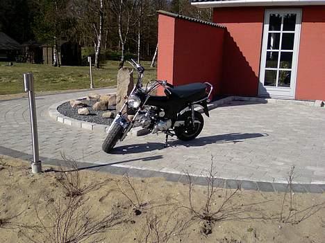 Honda Dax (kopi) billede 4