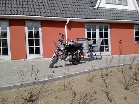 Honda Dax (kopi) billede 7