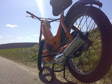 Puch Maxi K "solgt" billede 4
