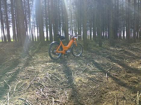 Puch Maxi K "solgt" billede 11