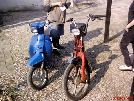 Honda Melody Mini NT 50 (S) - Honda Melody Mini NT50 & Vespa Piaggio Ciao billede 4