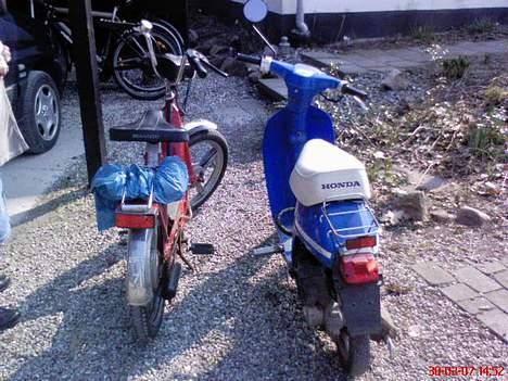 Honda Melody Mini NT 50 (S) - Vespa Piaggio Ciao & Honda Melody Mini NT50 billede 5