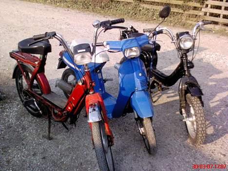 Honda Melody Mini NT 50 (S) - Vespa Piaggio Ciao, Honda Melody Mini NT50 & Suzuki FZ50 billede 6
