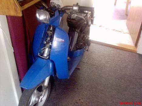 Honda Melody Mini NT 50 (S) - Ledningsforbindelsen i fronten billede 9