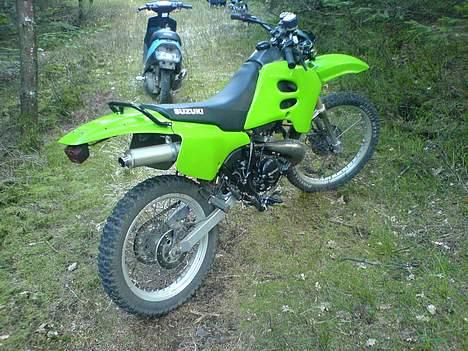 Suzuki Rmx - skovtur med en jog billede 4