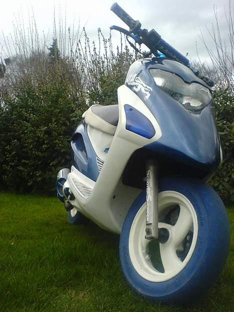 Honda Sfx| Byttet | miss you<3 - da jeg købte den ... billede 2