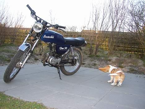 Suzuki DM50 Samurai *solgt* billede 15