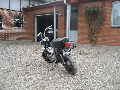 Honda Dax billede 8