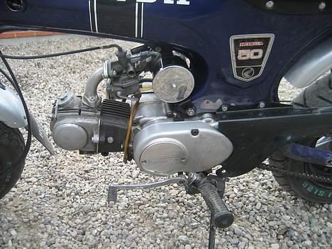 Honda Dax billede 10