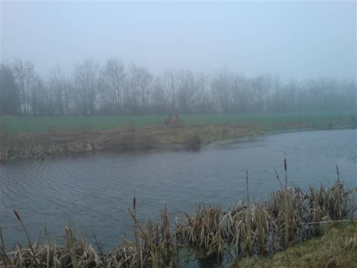 Puch Maxi P  billede 3