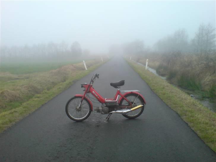 Puch Maxi P  billede 6