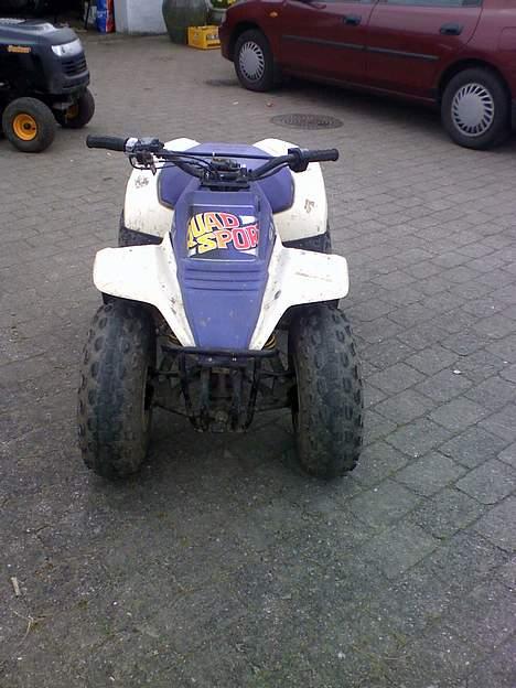 Suzuki lt80 billede 2