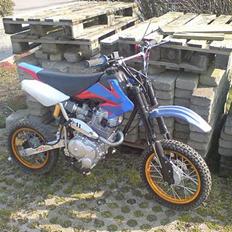 MiniBike Pit, Dirt bike (SOLGT)