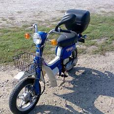 Suzuki FZ 50   | SOLGT |