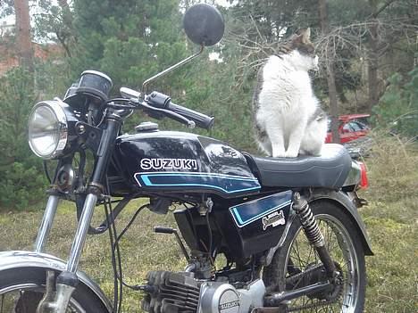 Suzuki Dm 50 Samurai - Projekt billede 4