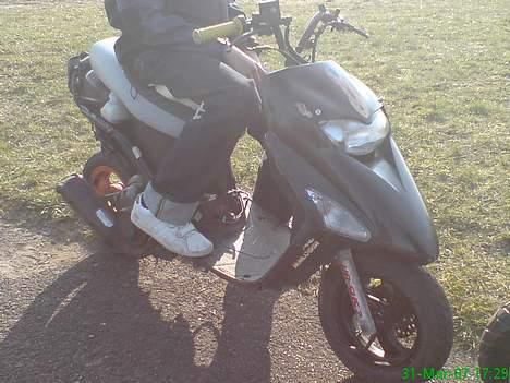 Honda sfx - solgt billede 11