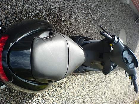 Benelli 491 ST #SOLGT# billede 4