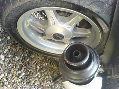 Benelli 491 ST #SOLGT# billede 9