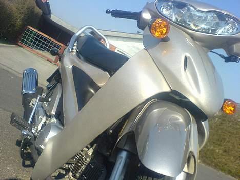 Adly Zhongyu Fortune 50 billede 1