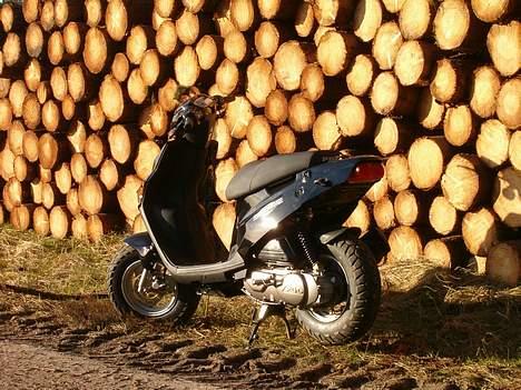 PGO Hot 50 #SOLGT# - Holder ved skoven.!! =) billede 10