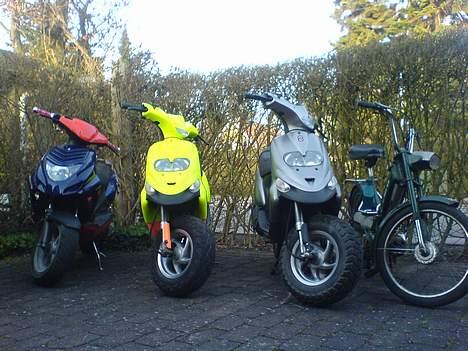 Puch Maxi p SOLGT billede 5