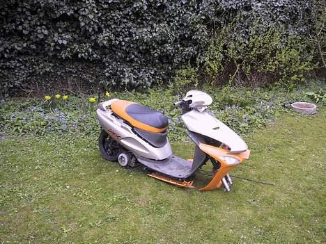 Honda SFX Sport (Solgt) billede 2