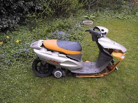 Honda SFX Sport (Solgt) billede 3