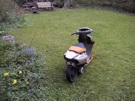 Honda SFX Sport (Solgt) billede 4