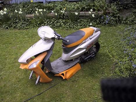 Honda SFX Sport (Solgt) billede 5