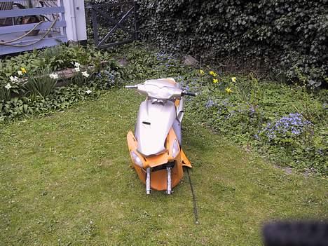 Honda SFX Sport (Solgt) billede 6