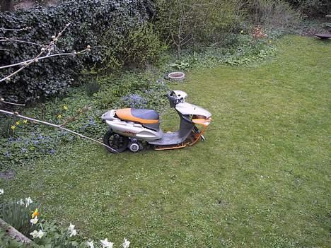 Honda SFX Sport (Solgt) billede 7