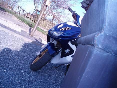 MBK Nitro / solgt billede 9