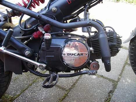 Sachs Madass Byttet til Sonic - Motoren, 125 ccm, den anden har den tidligere ejer bollet møøøøjfin´ billede 7