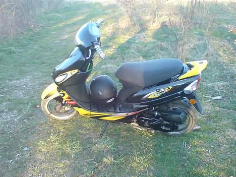 Giantco Sprint billede 4